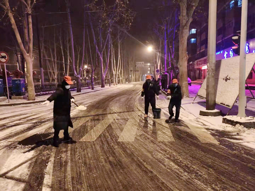 雪天里,洛陽公交人抗擊疫情的最美風(fēng)景